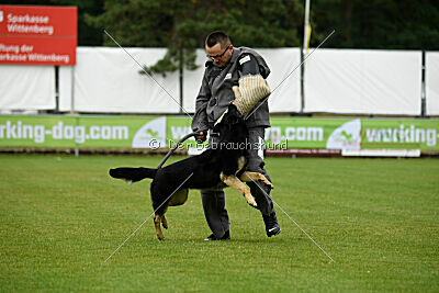 Nitra vom Eisernen Kreuz