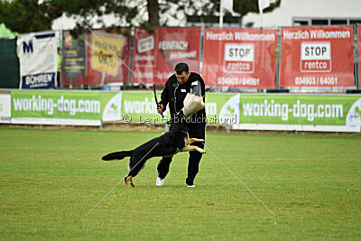 Nitra vom Eisernen Kreuz