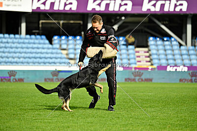 Nitra vom Eisernen Kreuz