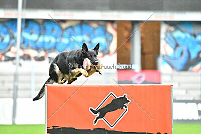 Nitra vom Eisernen Kreuz