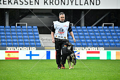 Nitra vom Eisernen Kreuz