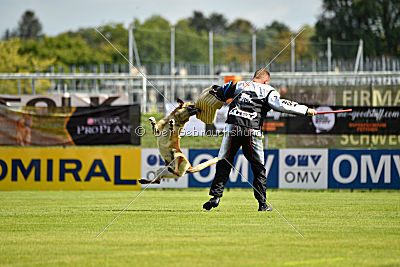 Njag van de Verpihoeve