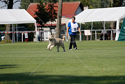Norbert du Grand-Bijou