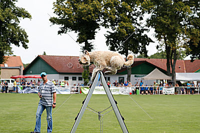 Norbert du Grand-Bijou