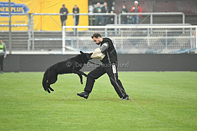 Norbert vom Eichbergblick