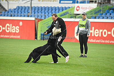Norbert vom Eichbergblick