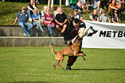 Néron de la Plaine des Cheyennes