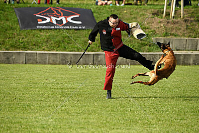 Néron de la Plaine des Cheyennes