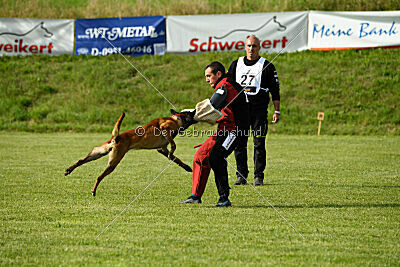 Néron de la Plaine des Cheyennes