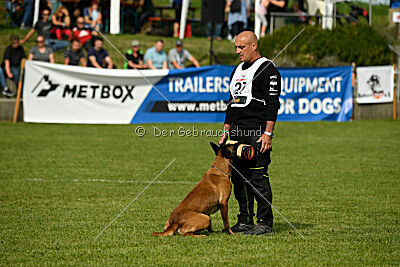 Néron de la Plaine des Cheyennes