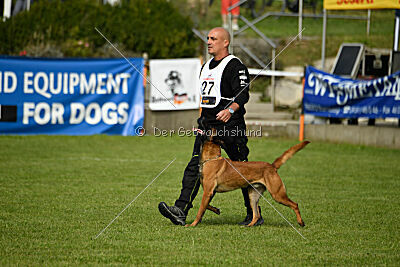 Néron de la Plaine des Cheyennes