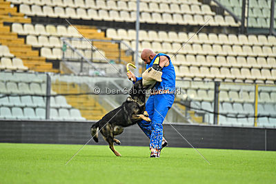 O'Shrek von der Friesenklippe