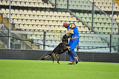 O'Shrek von der Friesenklippe