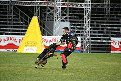 O'Shrek von der Friesenklippe
