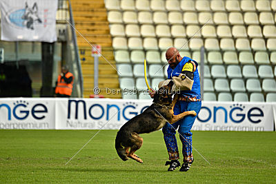 Obi Wan Kenobi vom Wolfsblick