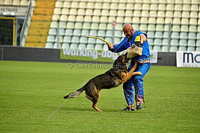 Obi Wan Kenobi vom Wolfsblick