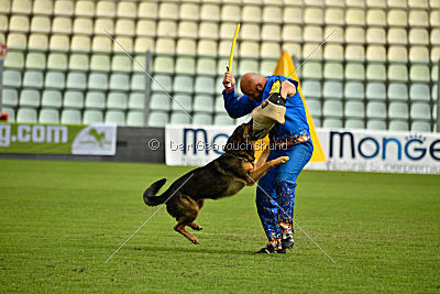 Obi Wan Kenobi vom Wolfsblick