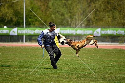 Odysseya de la Mamba Noire