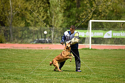 Odysseya de la Mamba Noire