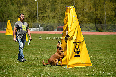 Odysseya de la Mamba Noire