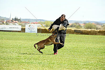 Oesko Hulk Machine 2.0