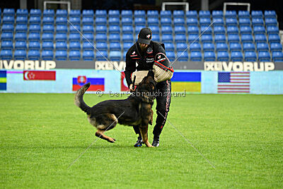 Oetzi aus der Königshöhle