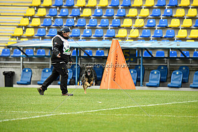 Oetzi aus der Königshöhle