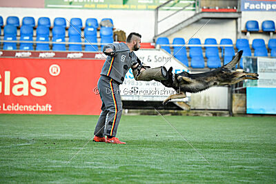 Oetzi aus der Königshöhle