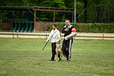 Ojemine vom Mecklenburger Büffel