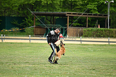 Ojemine vom Mecklenburger Büffel