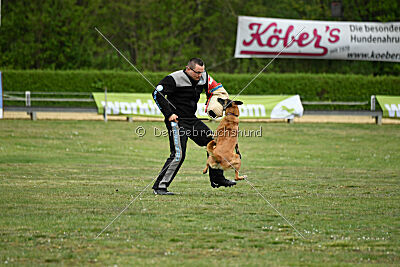 Ojemine vom Mecklenburger Büffel