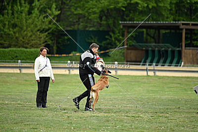 Ojemine vom Mecklenburger Büffel