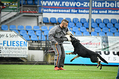 Oktan del Camino Duro