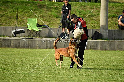 Olav vom Brunsbeker Land