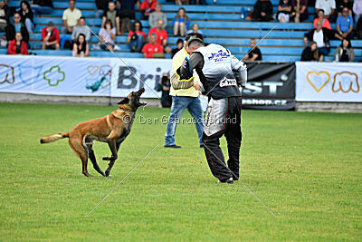 Omer de Hellehond
