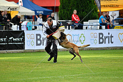 Omer de Hellehond