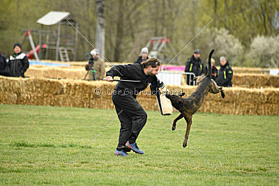 One Shot des Soldats de Krist Ale