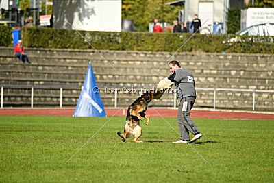 Onja vom Heidhof