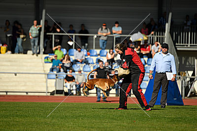 Orazio vom Hammersee
