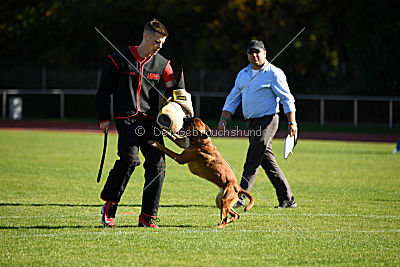 Orazio vom Hammersee