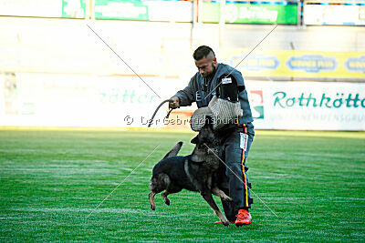 Orex du Chateau du Paradis