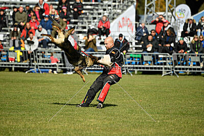 Orex du Château du Paradis
