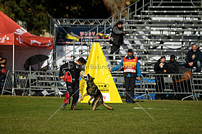 Orex du Château du Paradis