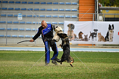 Original Maly Lumpik