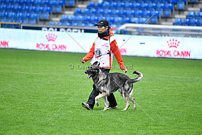 Orion von Outsider