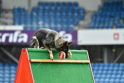 Orphée des Orckis de l'Adret