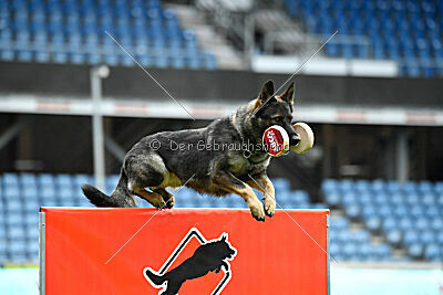 Orphée des Orckis de l'Adret