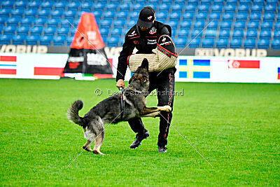 Orphée des Orckis de l'Adret