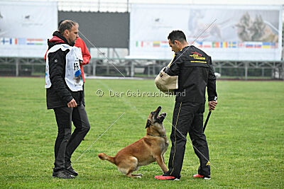 Orus des pas des Betes