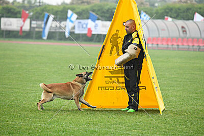 Orus des pas des Betes